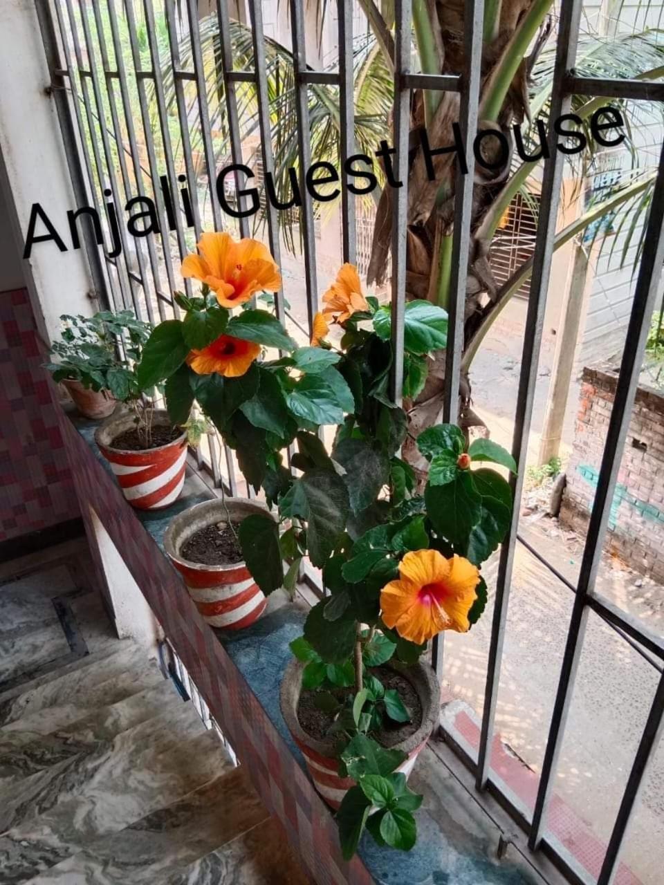 Anjali Guest House Digha  Eksteriør billede